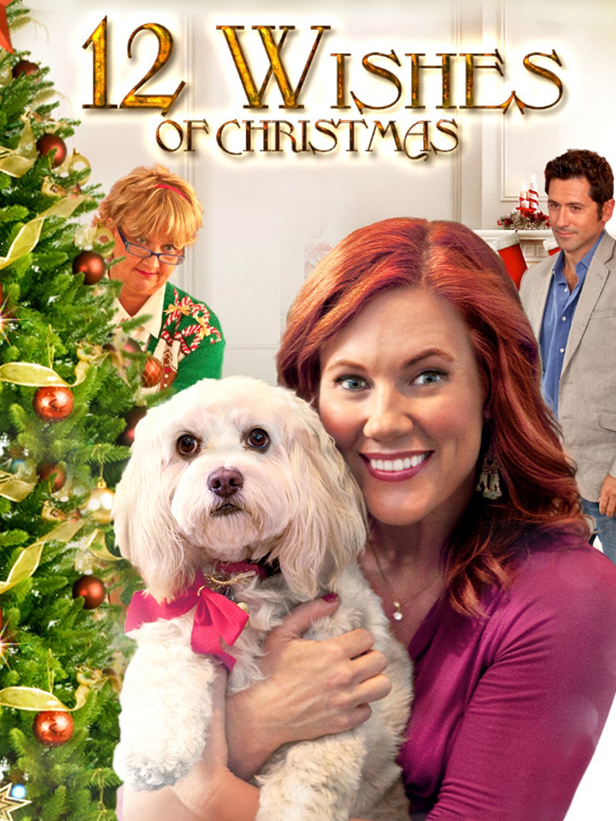 12 Wishes of Christmas poster
