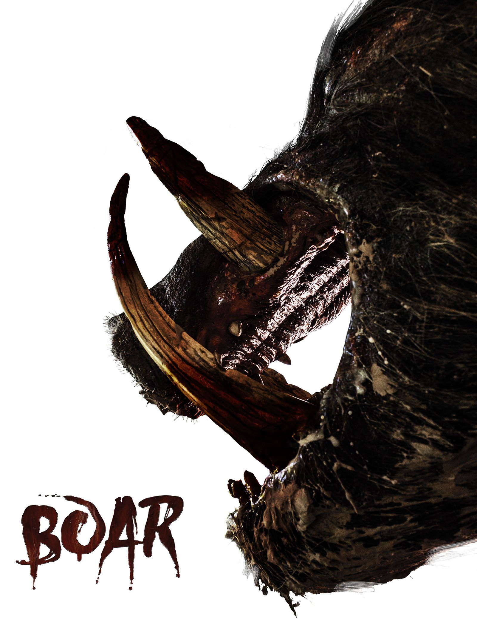 Boar poster