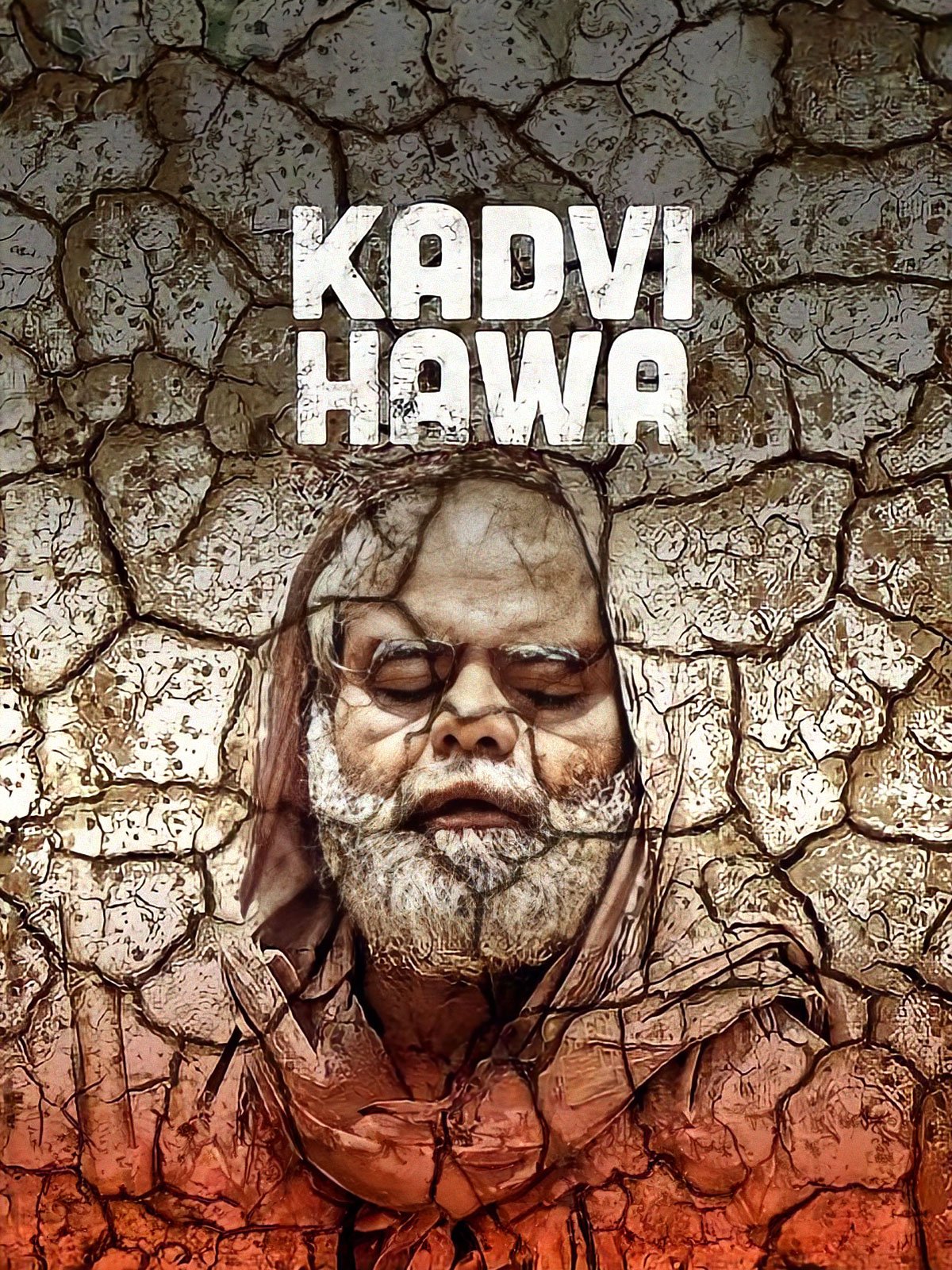 Kadvi Hawa poster