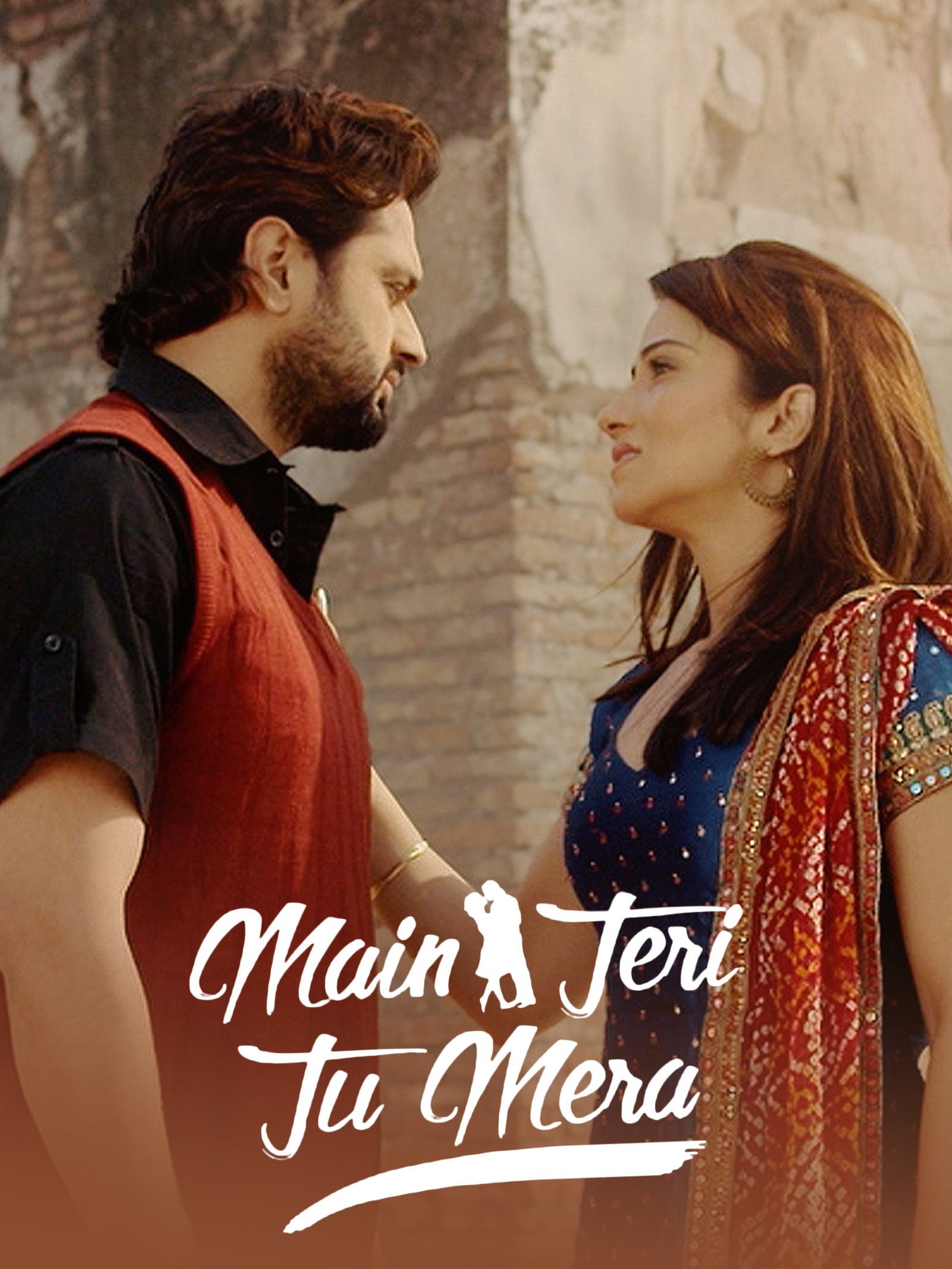 Main Teri Tu Mera poster