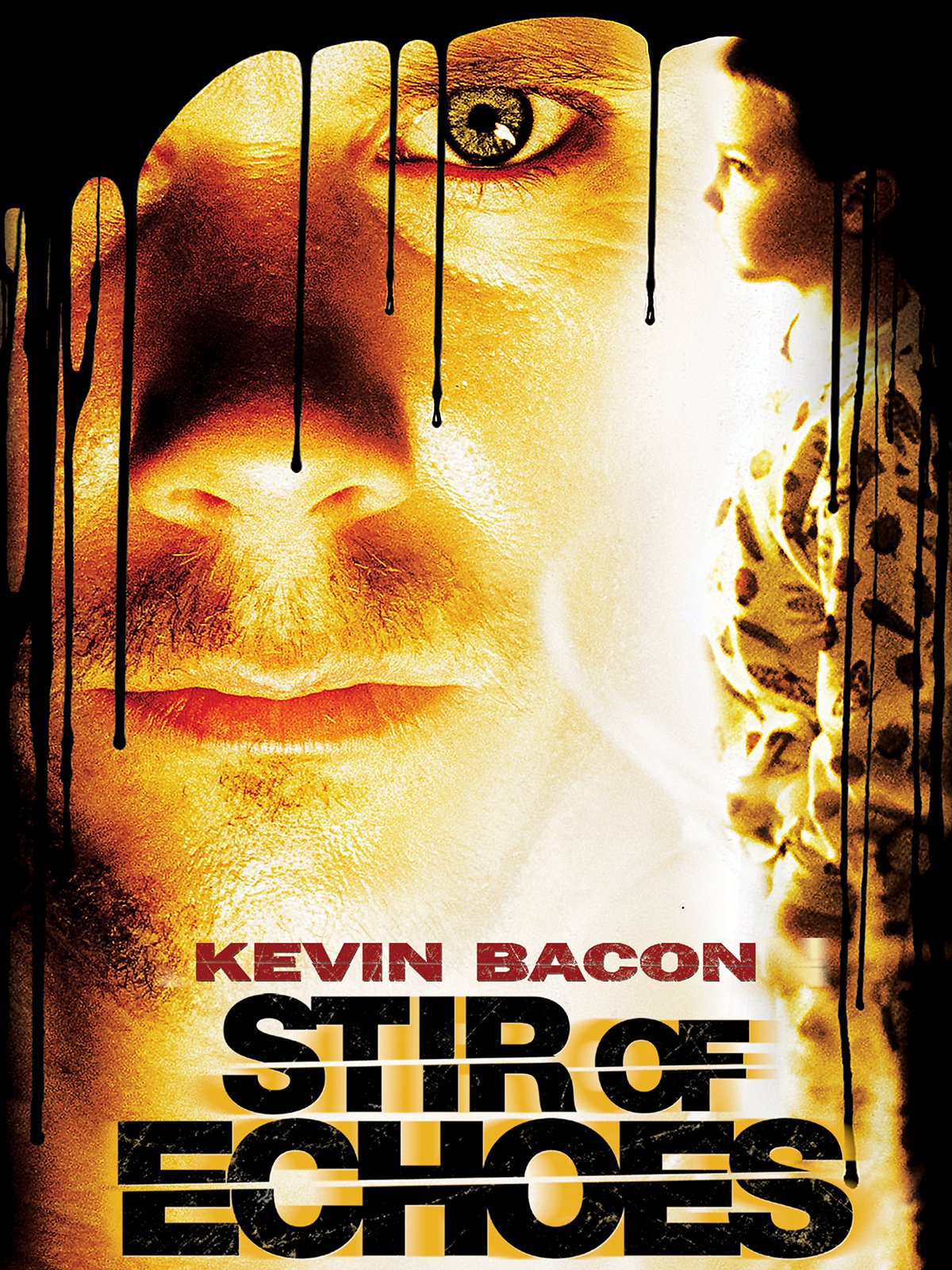 Stir of Echoes poster